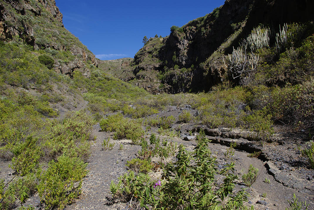 Monumento Natural del Barranco de Fasnia y Güímar