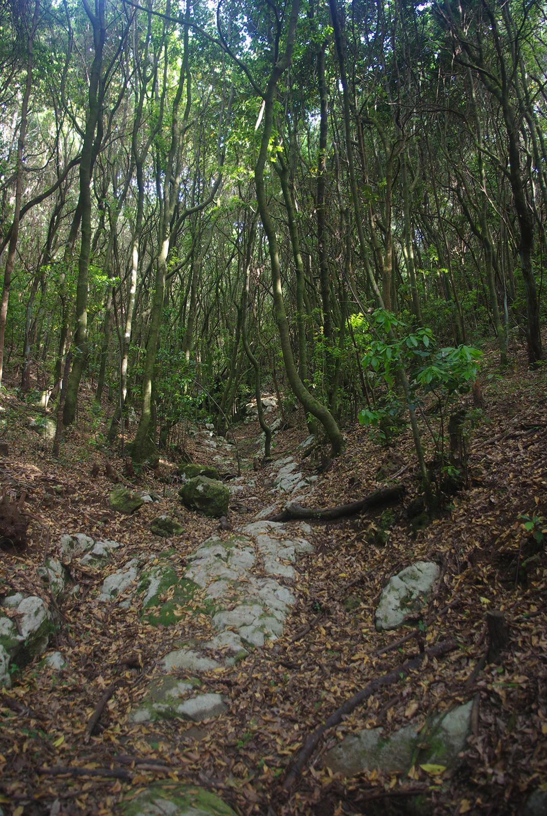 Paisaje Protegido de Las Lagunetas