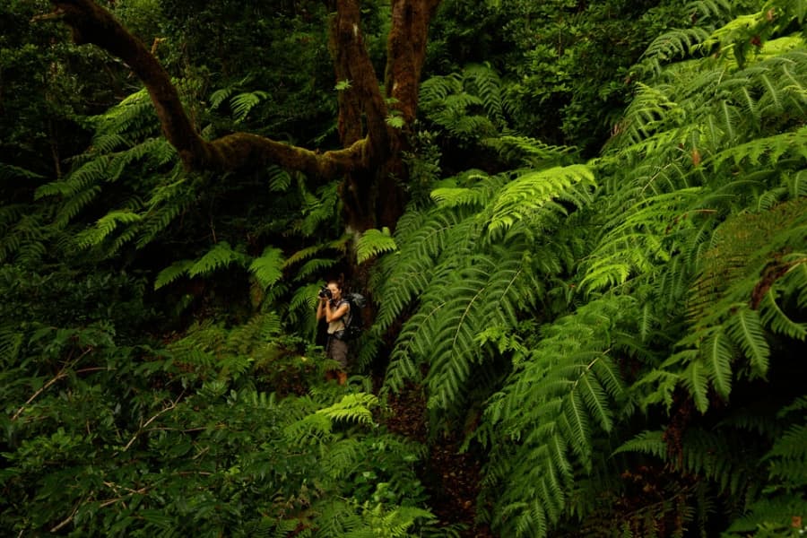 Wandergebiete mit Vorabgenehmigung