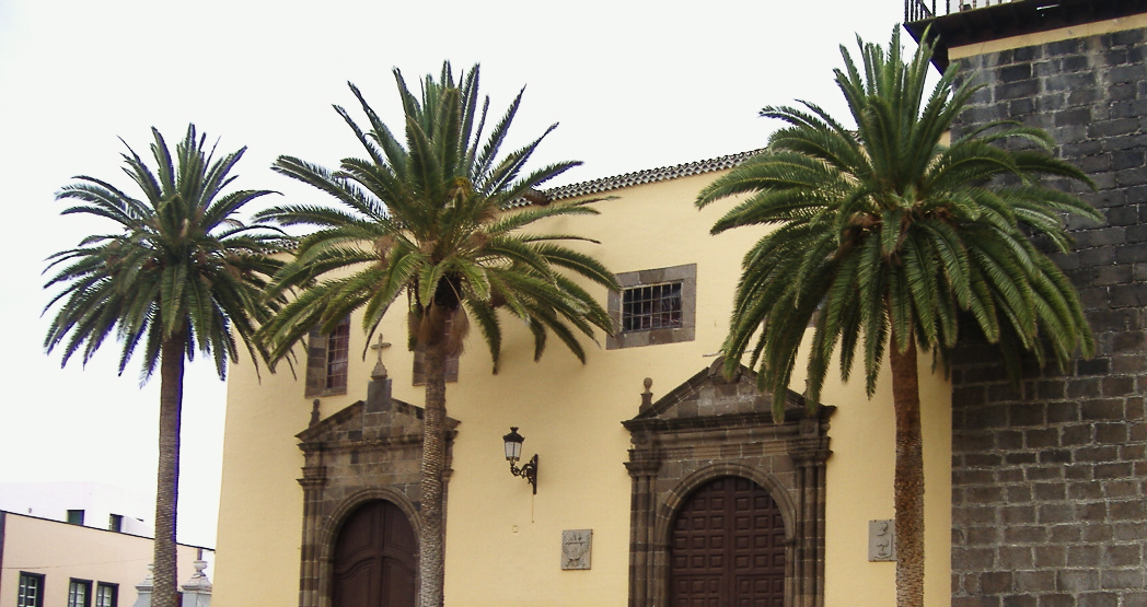 Palmas de la Iglesia de San Francisco